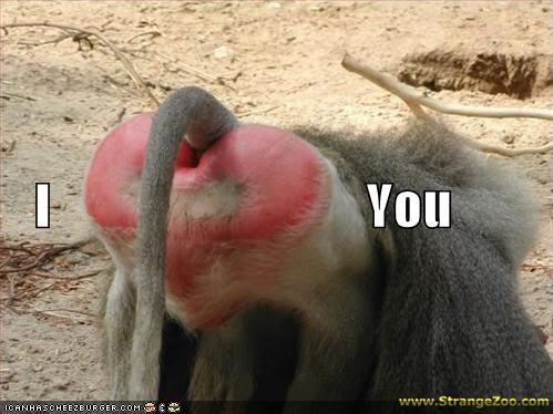 [monkeybutt.bmp]