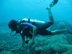 Me Diving.