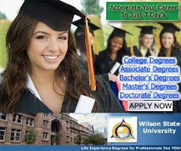 Wilson State University Comes to the Desktop: Online Degrees
