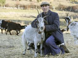 [CABRAS_C--253x190.JPG]