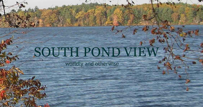 South Pond View