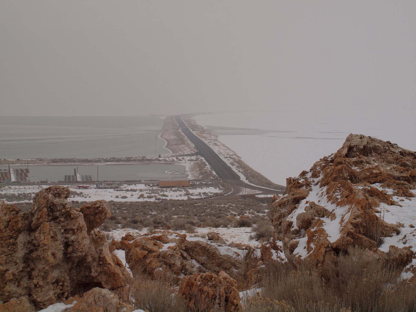 Birding Is Fun! Utah Birding Hotspot Antelope Island State Park