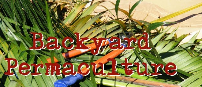 Backyard Permaculture