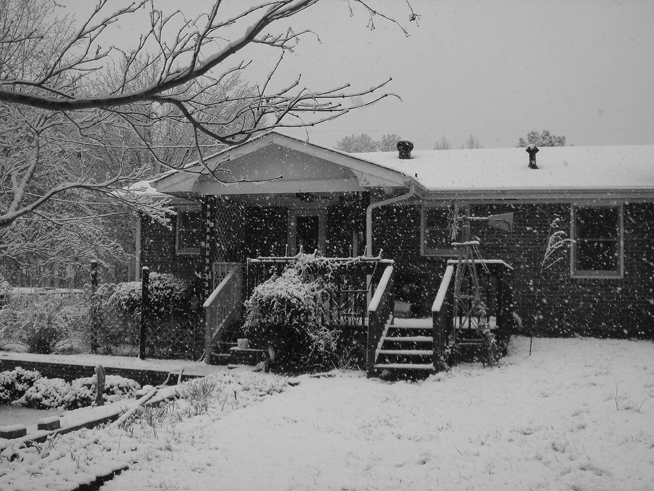 [Snow+March+1,+2009+017.jpg]