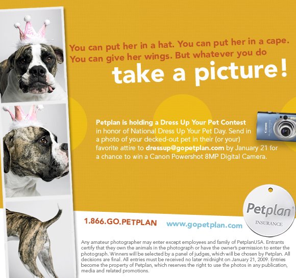 [petplan.jpg]