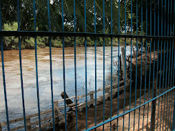 DIFUSORA E RIO PARDO A COMUNICAÇÃO E A NATUREZA JUNTOS