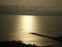 INCREIBLE