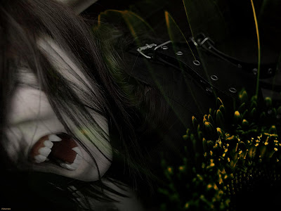 Vampire Wallpapers vampires wallpapers. Vampire Wallpapers