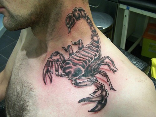 Here we have some great photos of scorpion tattoos from you to browse 