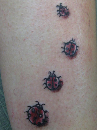 Trail of four ladybug tattoos.