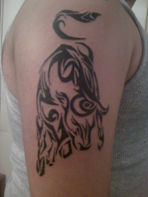 Try adding another small tattoo design alongside your bull tattoo, 