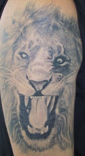 Realistic Lion Tattoo in black and gray. Lion Tattoos