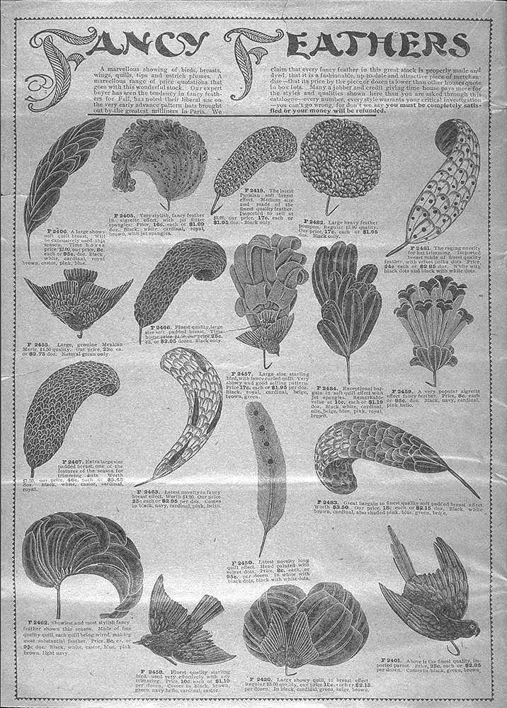 [feather+chart.jpg]