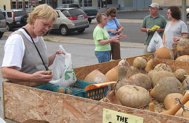 [me+picking+gourds.JPG]