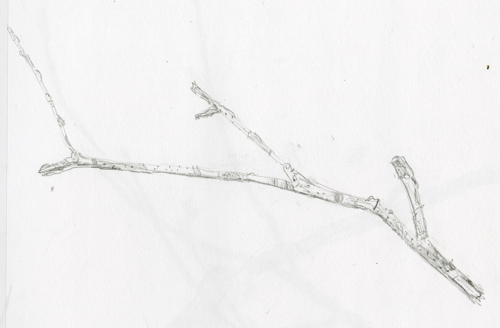 Design by Monica Sketches