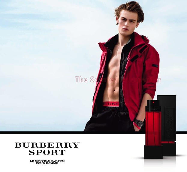 burberry sport men's cologne
