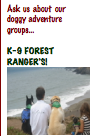 K-9 Forest Rangers