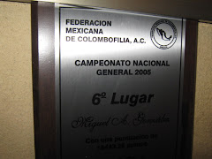 Placa otorgada por el sexto lugar campeonato Nacional general 2005.