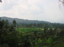 Nongkojajar View