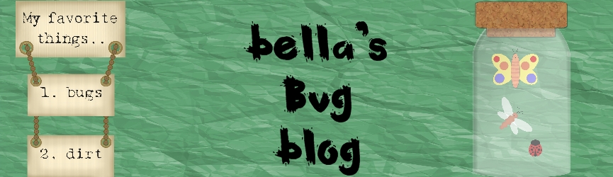 bellas bug blog