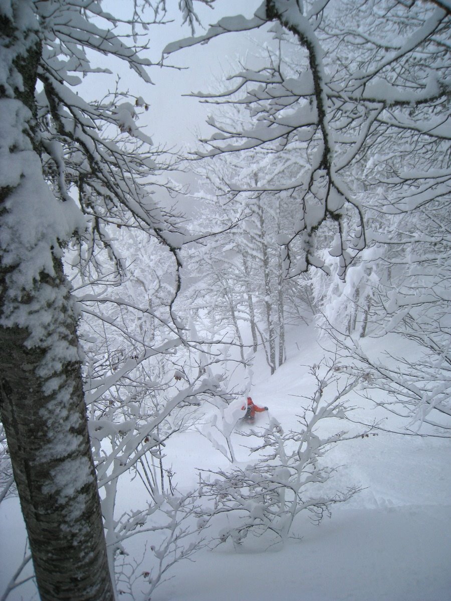 [IMG_2685.JPG]