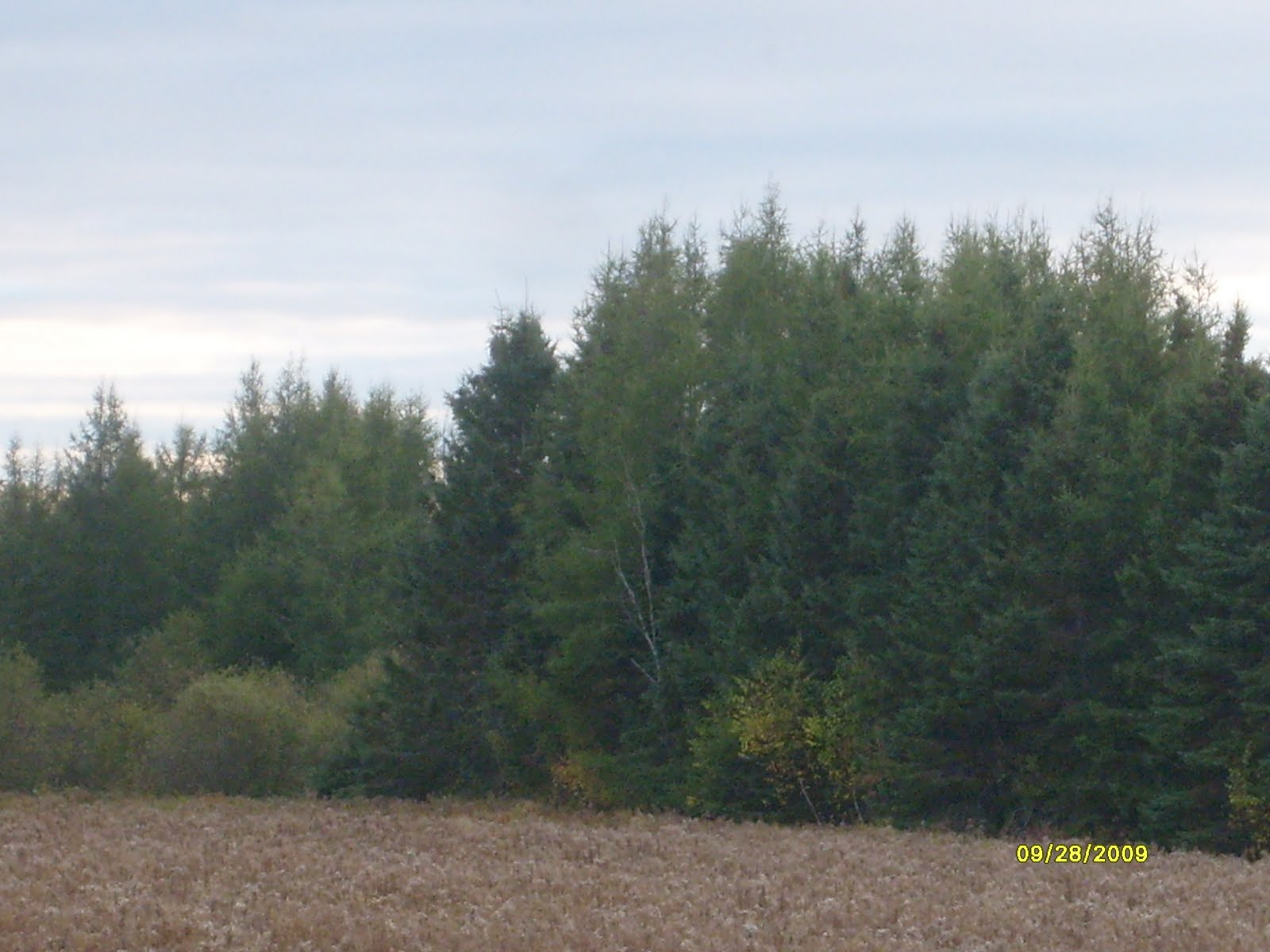 [Picture+073.jpg]