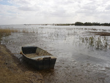 Fotografia vencedora na categoria BARCOS - Junho 2009