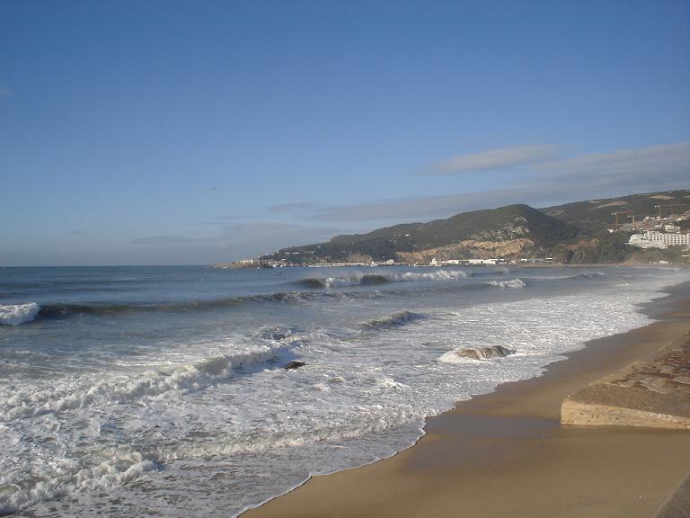 [DSC02243_1.JPG]