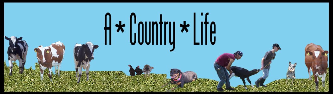 A Country Life