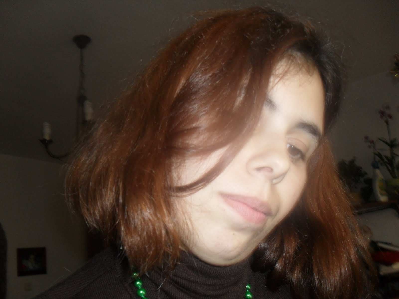 [SAM_0231.JPG]