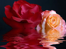 Rosas na agua