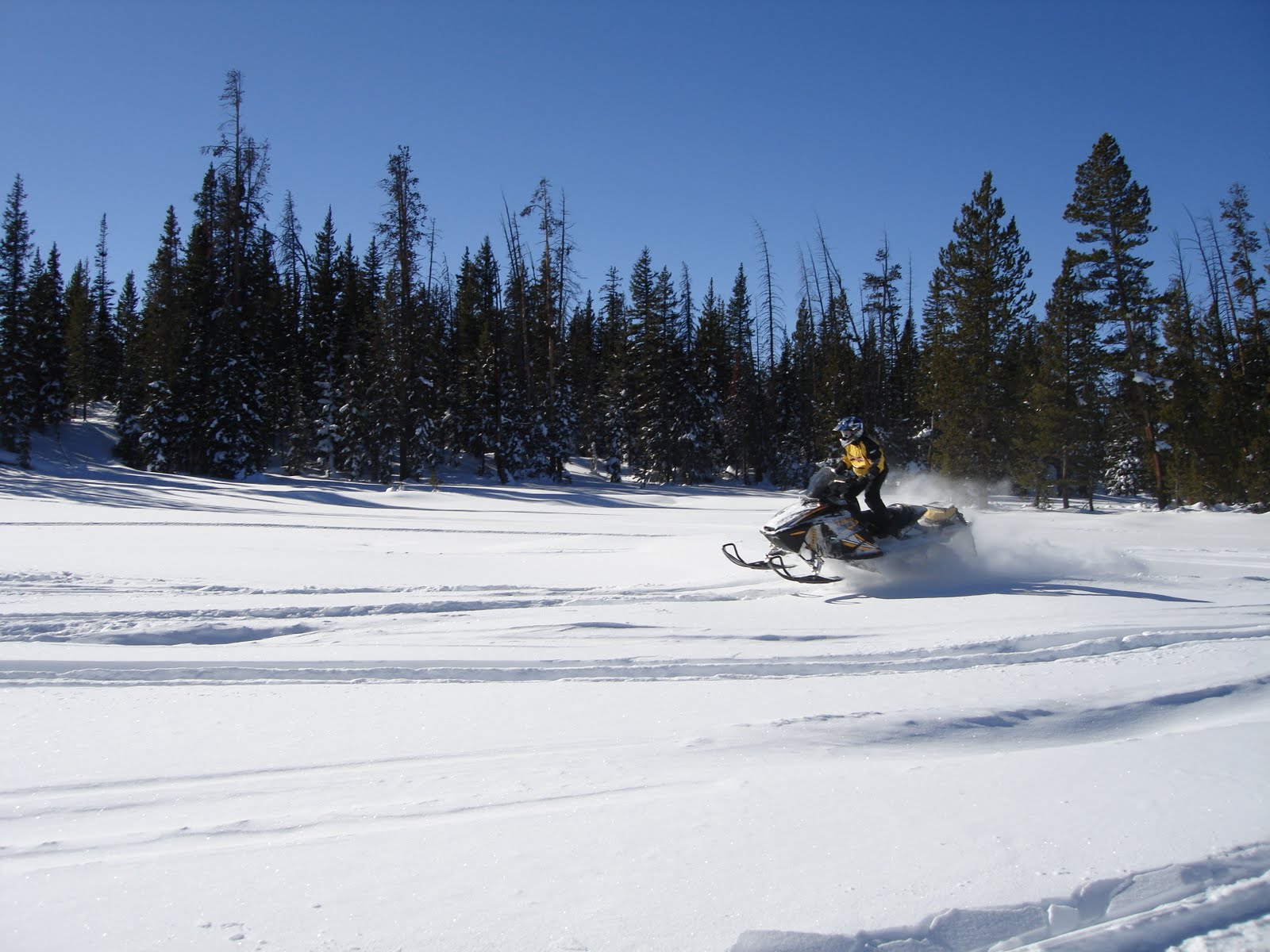 [DSC03489.JPG]