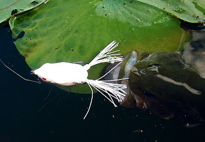 [Image: pad+pickoff.jpg]