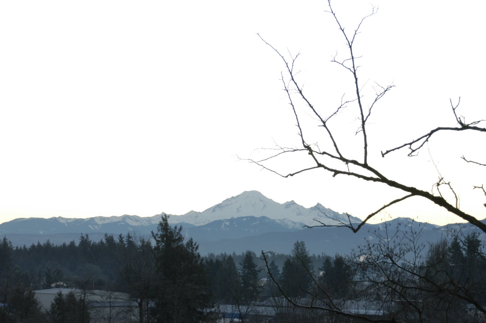 [DSC_3857.JPG]