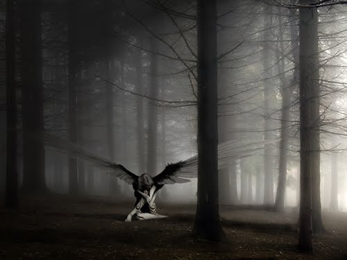 Angelic Solice
