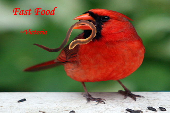 Fast-Food