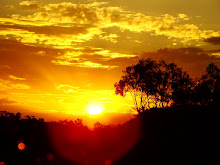 Sonnenuntergang im Outback