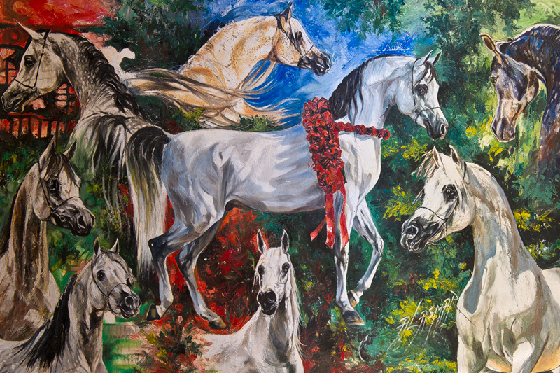 Arabian Horse Collage