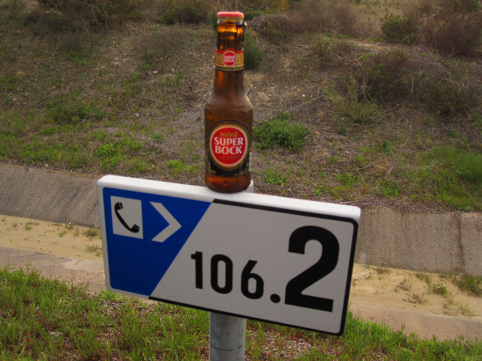 [IMG_2002.JPG]