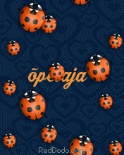 [crazybugs176x220.gif]