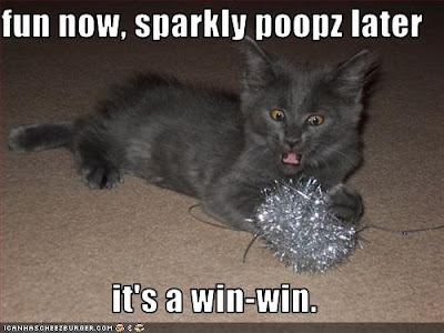 Lol+Cat+Sparkly+Poopz+untitled.bmp