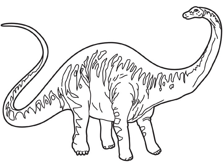Apatosaurus Coloring Page