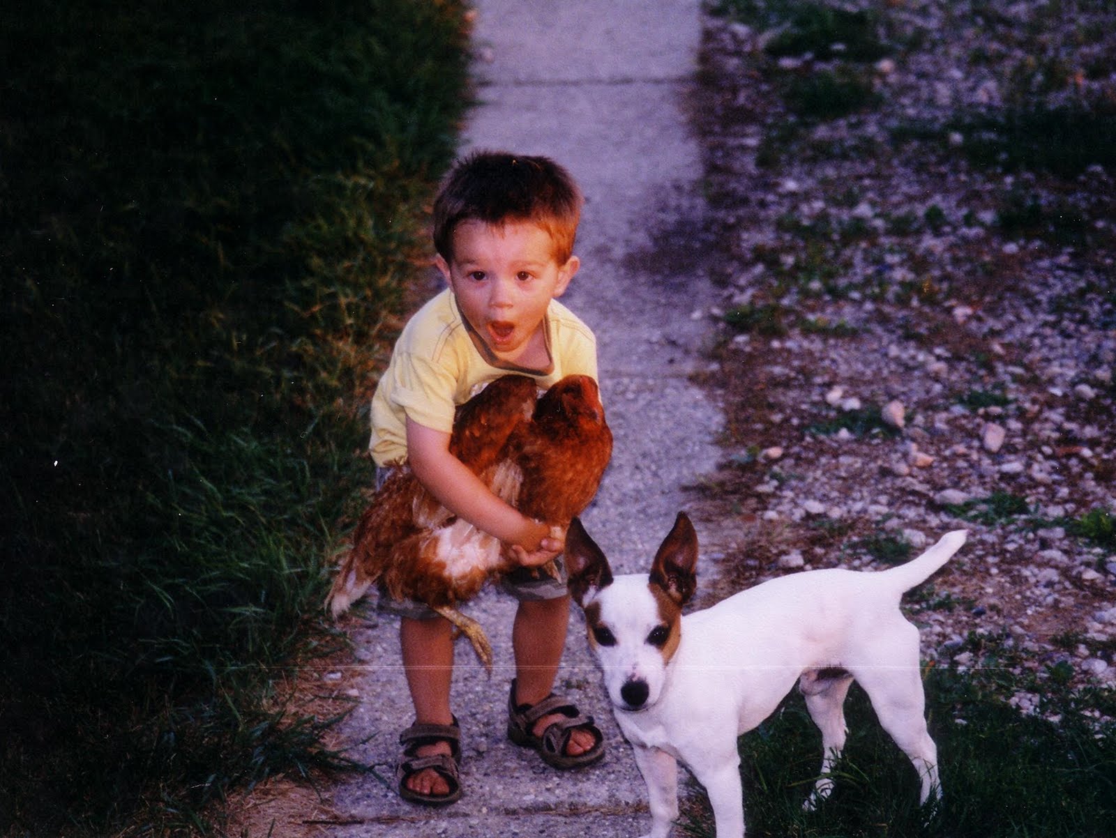 [Scan10013.JPG]