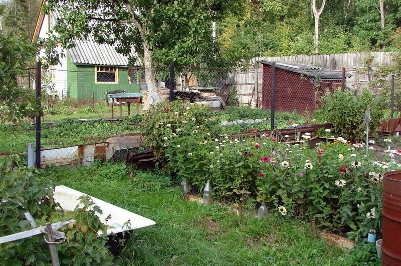 Backyard Farming From Russia