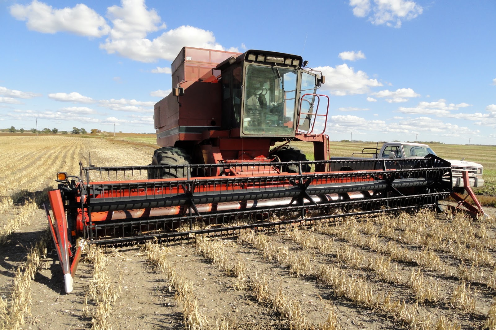 Griggs Dakota Pinto Bean Harvest 2010