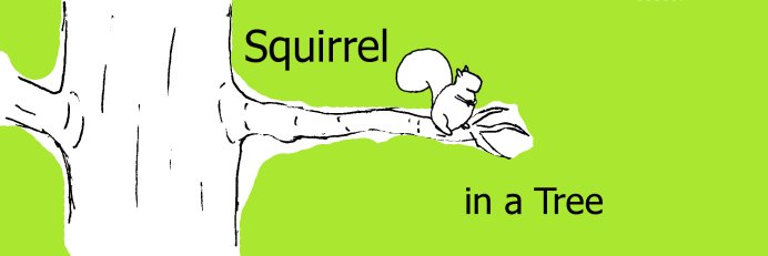 Squirrel in a Tree
