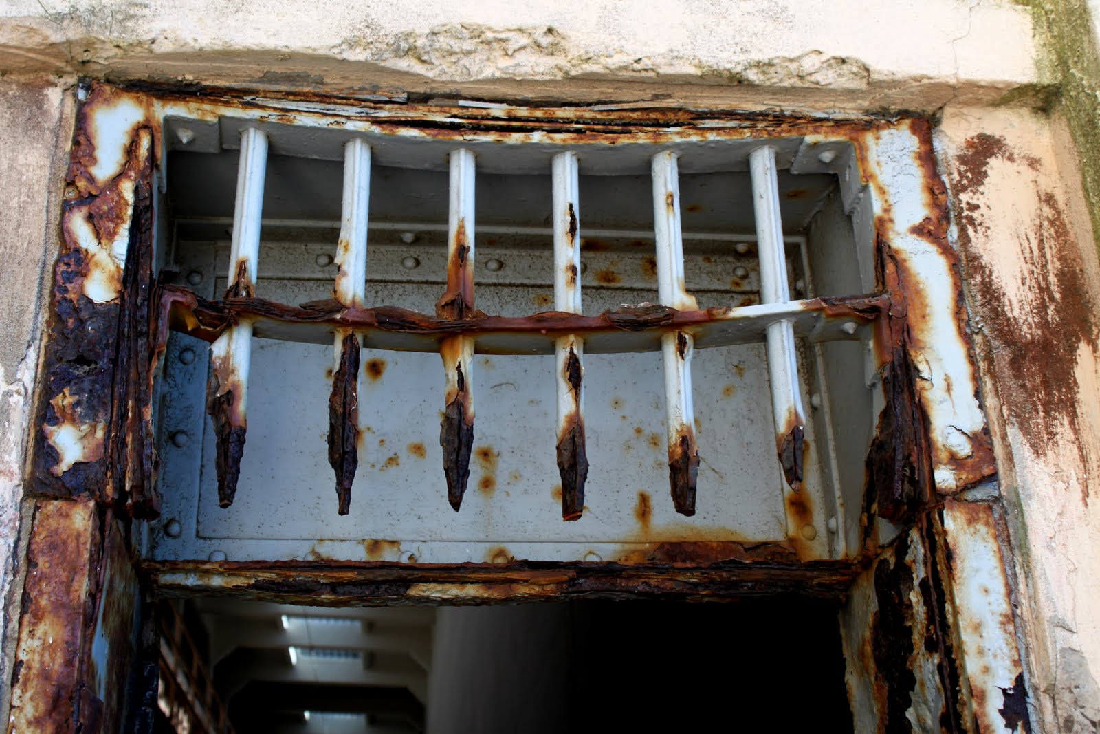 beats by dr dre diesel vektr for sale beats by dr dre diesel vektr for sale