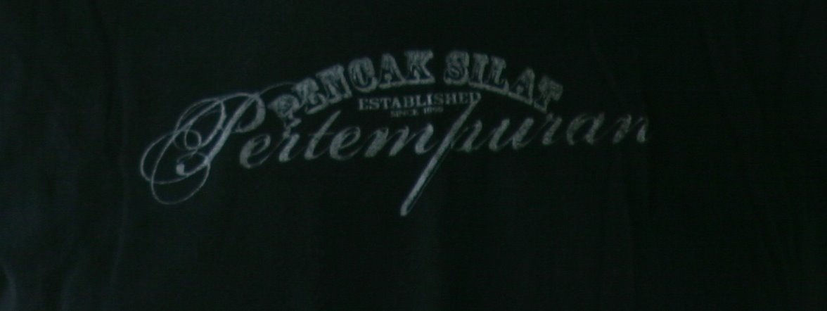 [IMG_PSP.jpg]