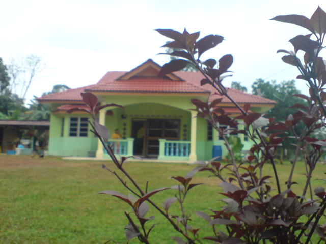 [DSC04479.JPG]