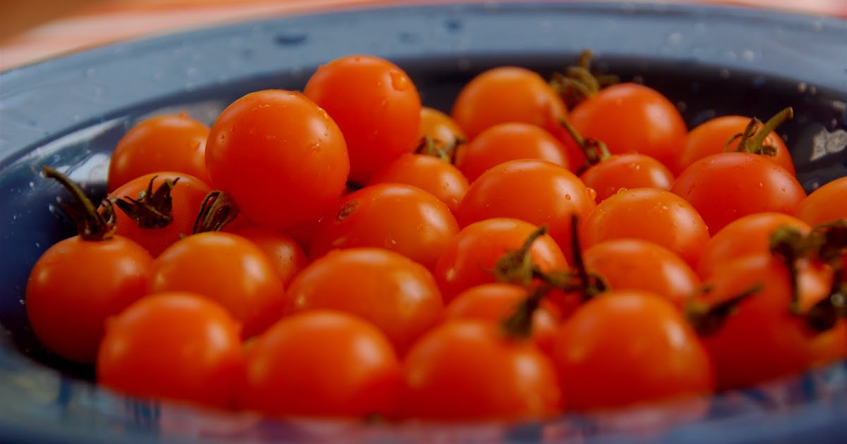 Four Green Acres Savoring the harvest Sungold tomato nuggets